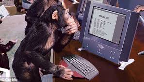 Monkey on a Computer