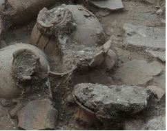 Wine Jars - Tel Kabri
